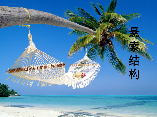 悬索结构谢尚