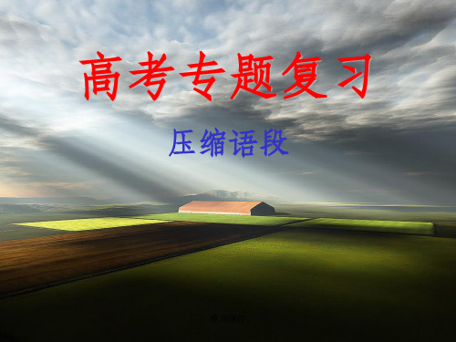 高考专题复习压缩语段