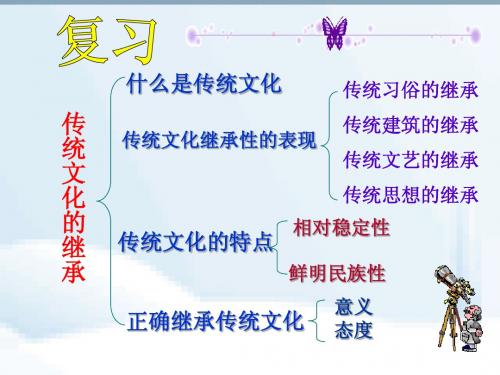 人教版高中政治必修三：《文化在继承中发展ppt课件(2)