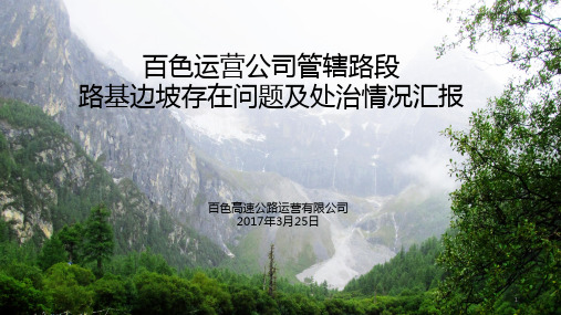 公路路基边坡存在问题及处治情况PPT课件