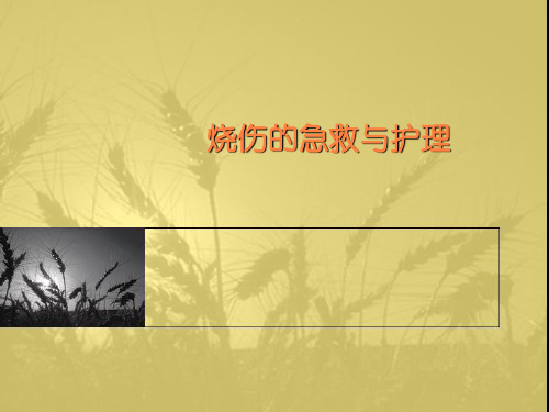 烧伤的急救与护理PPT课件