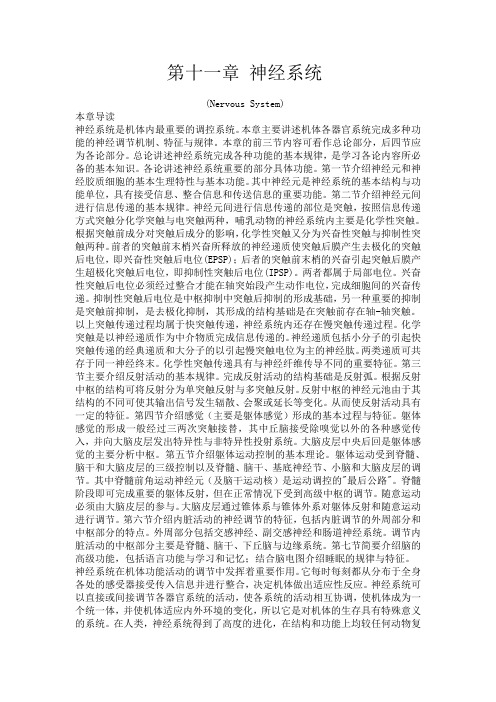 生理学教材 第十一章 神经系统