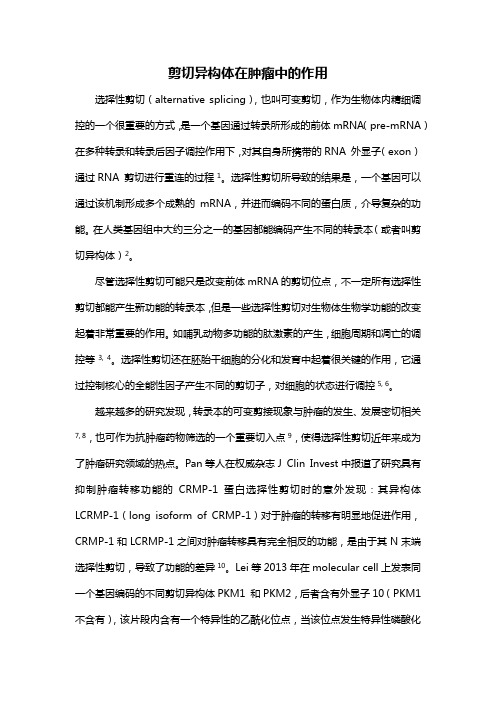剪切异构体在肿瘤中的作用