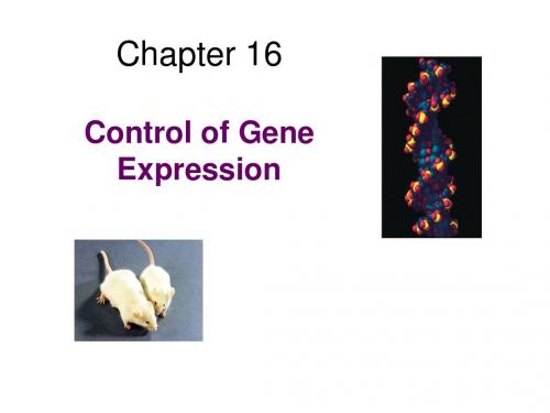 Chapter 16 Control of Gene Expression