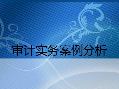 审计实务案例分析