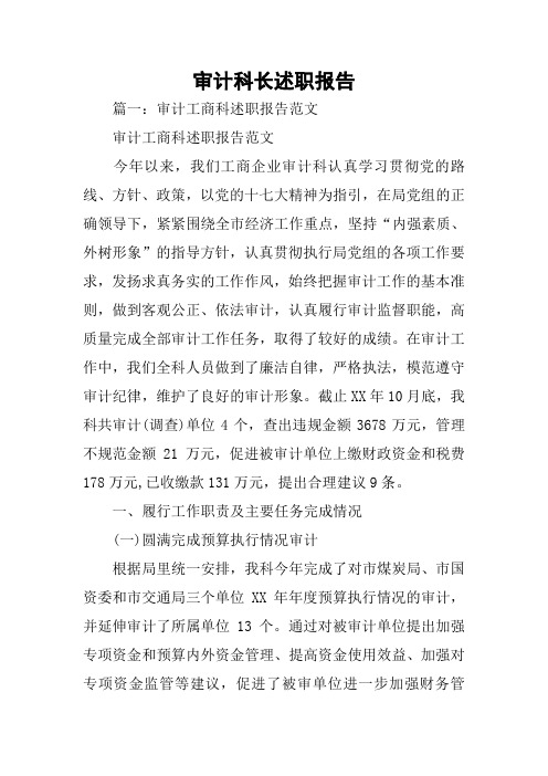 审计科长述职报告