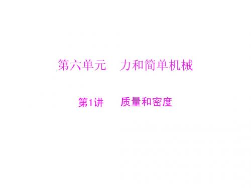 广东省2013年中考物理二轮专题复习课件：质量和密度