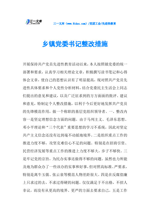 乡镇党委书记整改措施