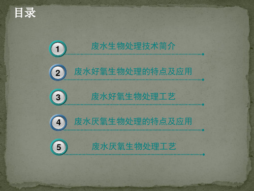 污水生化处理方法及工艺介绍