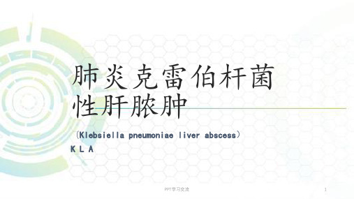 肺炎克雷伯杆菌性肝脓肿ppt课件