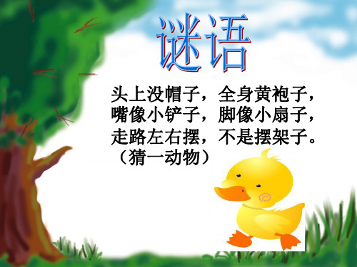 二年级语文下《丑小鸭》623PPT课件 一等奖名师公开课比赛优质课评比试讲