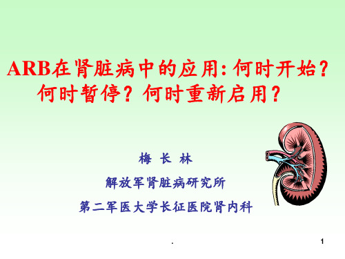 ARB在肾脏病中的应用PPT课件