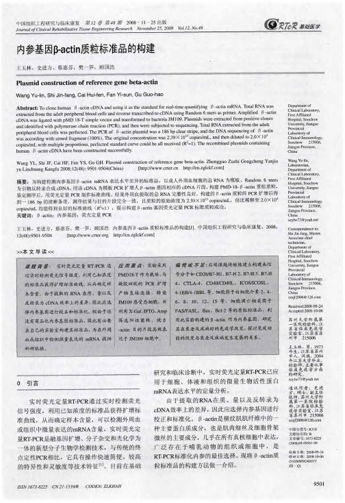 内参基因β-actin质粒标准品的构建