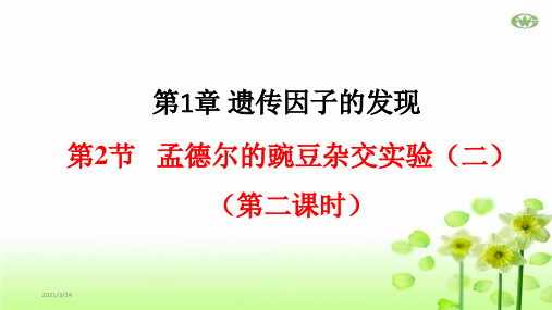 孟德尔的豌豆杂交实验(二)高中生物必修二ppt课件下载