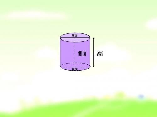 沈俊--圆柱的表面积1课件.ppt