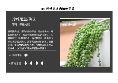 100种常见多肉植物图鉴