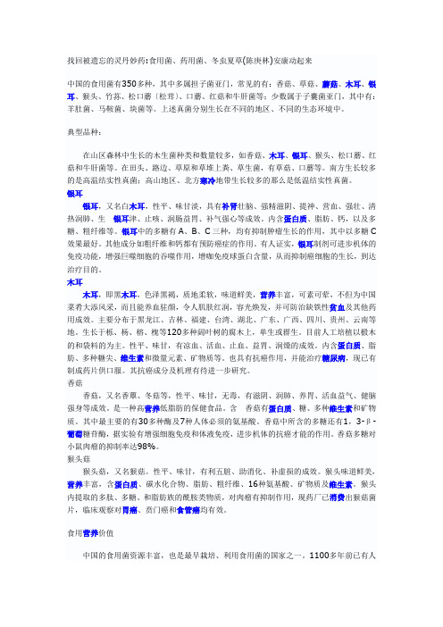 找回被遗忘的灵丹妙药