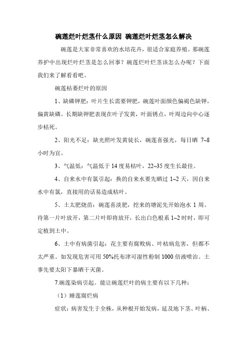 碗莲烂叶烂茎什么原因 碗莲烂叶烂茎怎么解决.doc