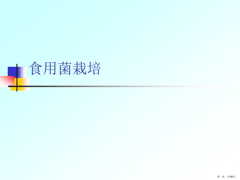 食用菌栽培PPT