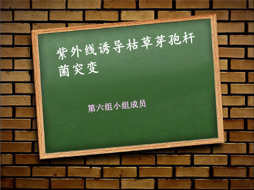 紫外线对枯草芽孢杆菌诱变剖析