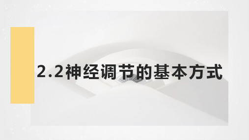 神经调节的基本方式 新人教版必修三 教学PPT课件