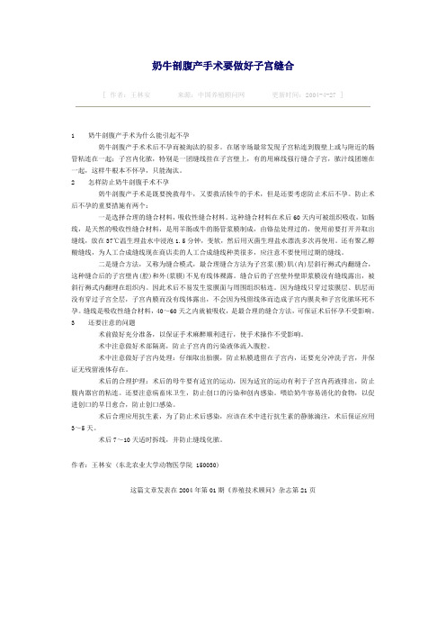 奶牛剖腹产手术要做好子宫缝合