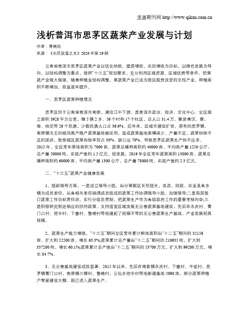 浅析普洱市思茅区蔬菜产业发展与计划