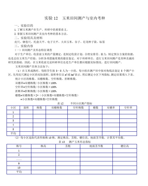 实验12 玉米田间测产与室内考种