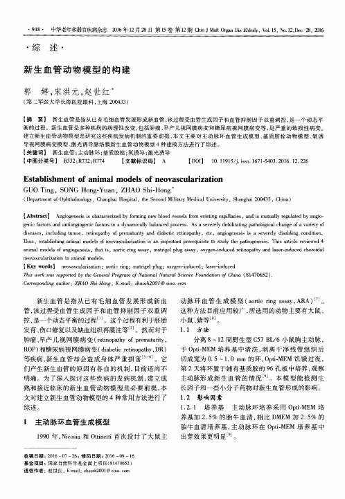 新生血管动物模型的构建