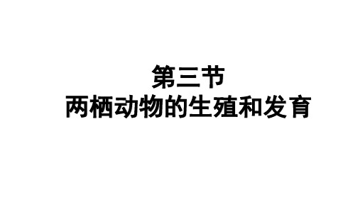 生物八年级7.1.3两栖动物的生殖和发育课件