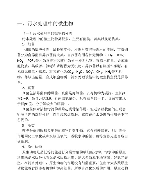 污水处理的生物学知识