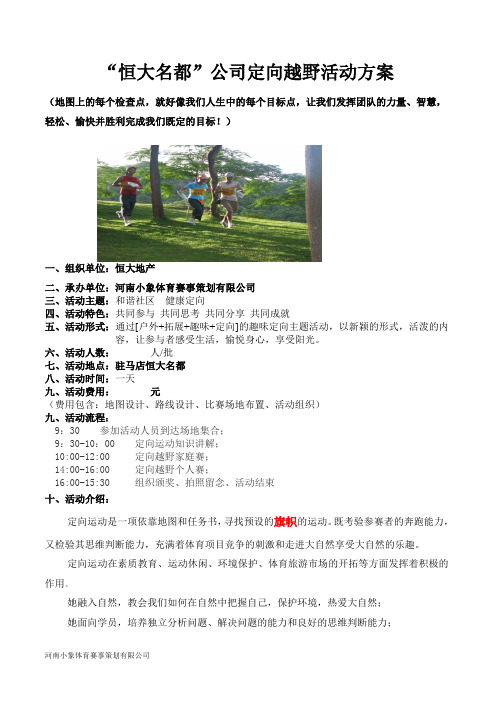 恒大名都定向策划案