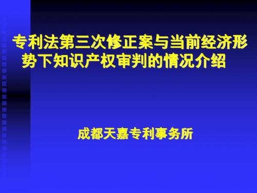 专利法第三次修正案和当前经济形-PPT精选文档