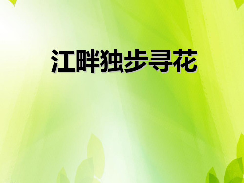 《江畔独步寻花》PPT课件下载