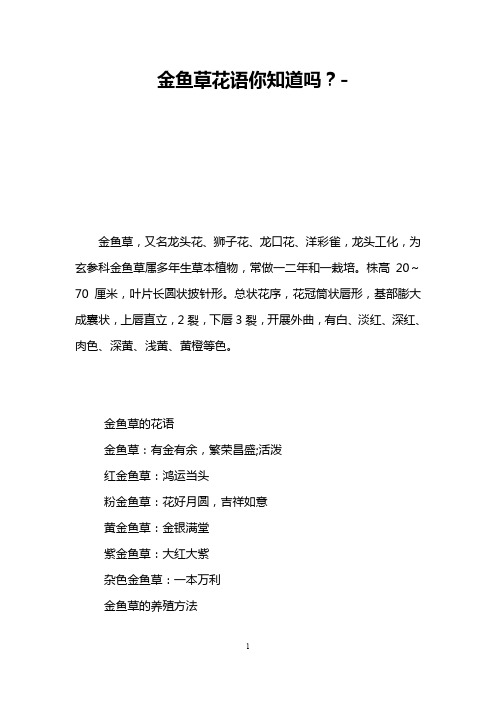 金鱼草花语你知道吗？-