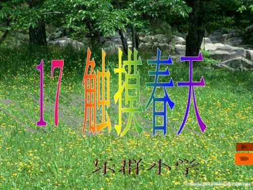 触摸春天(第二课时) (2)
