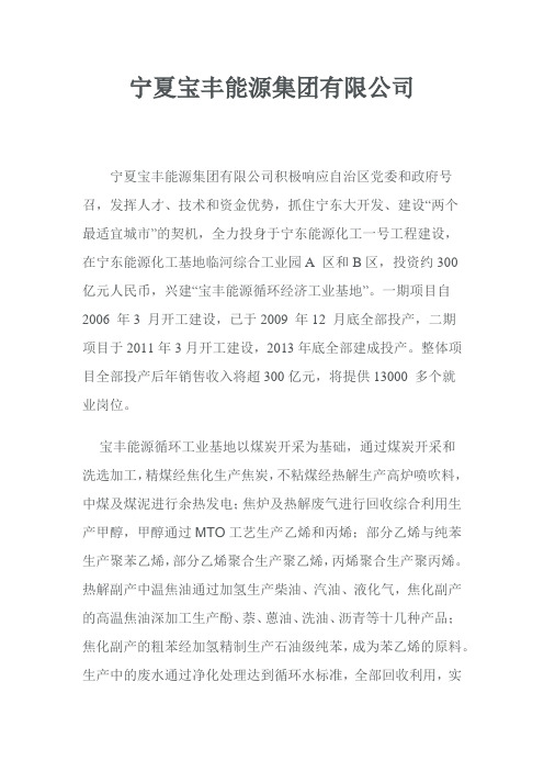宁夏宝丰能源集团有限公司简介