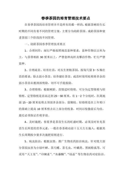 春季茶园的培育管理技术要点