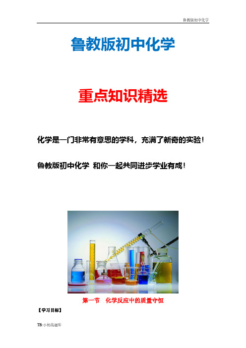 新版鲁教版初中化学九年级上册5.1 反应中的质量守恒学案