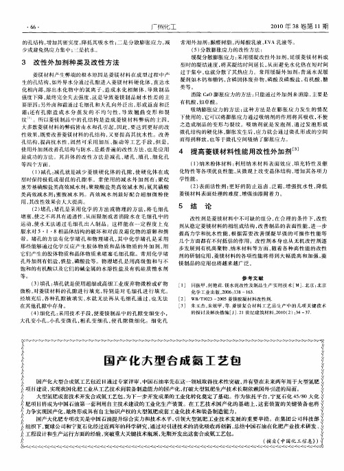国产化大型合成氨工艺包