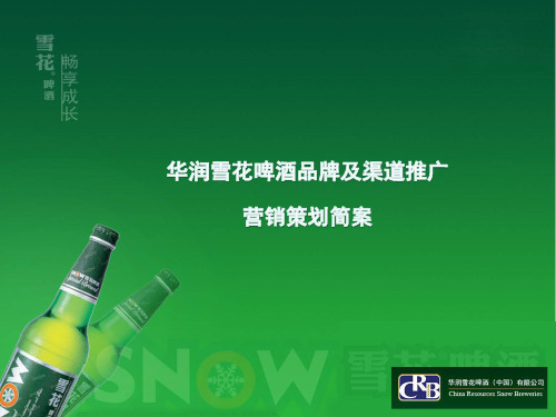 华润雪花啤酒营销方案