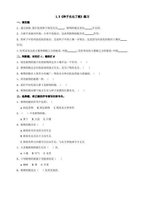 新教材教科版四年级下册科学 1.3 种子长出了根 课时练(同步练习)