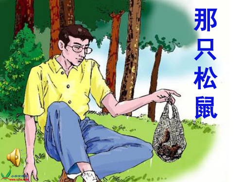 三年级下册语文《6 那只松鼠》课件(1) 教科版