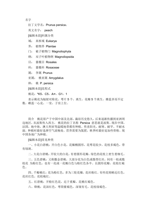 桃的形态特征