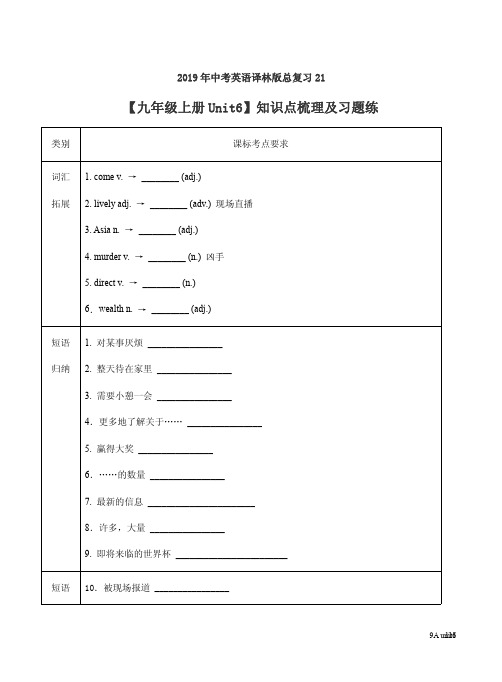 2019年中考英语译林版总复习21【九年级上册Unit6】知识点梳理及习题练