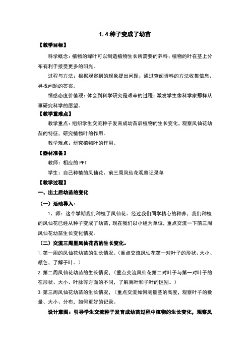 1.4 种子变成了幼苗教案及反思