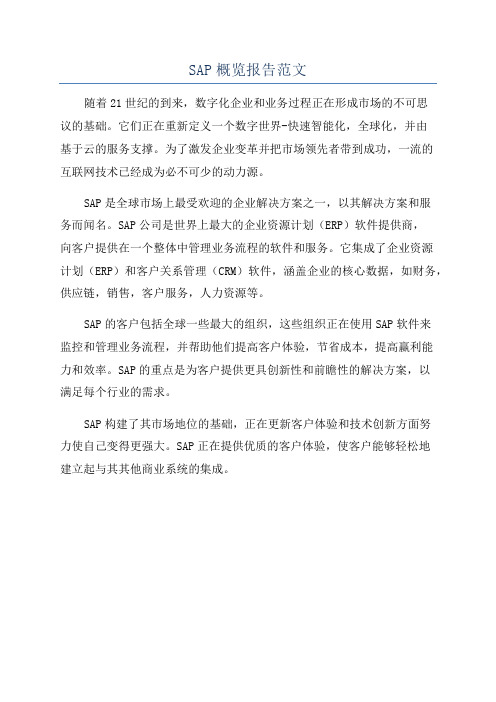 SAP概览报告范文