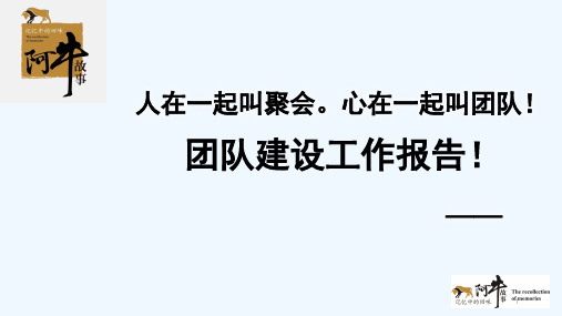 团队建设工作报告 PPT