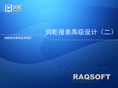 润乾报表高级设计二