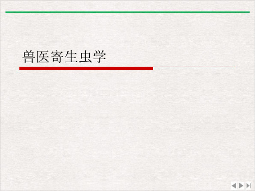 兽医寄生虫学ppt课件